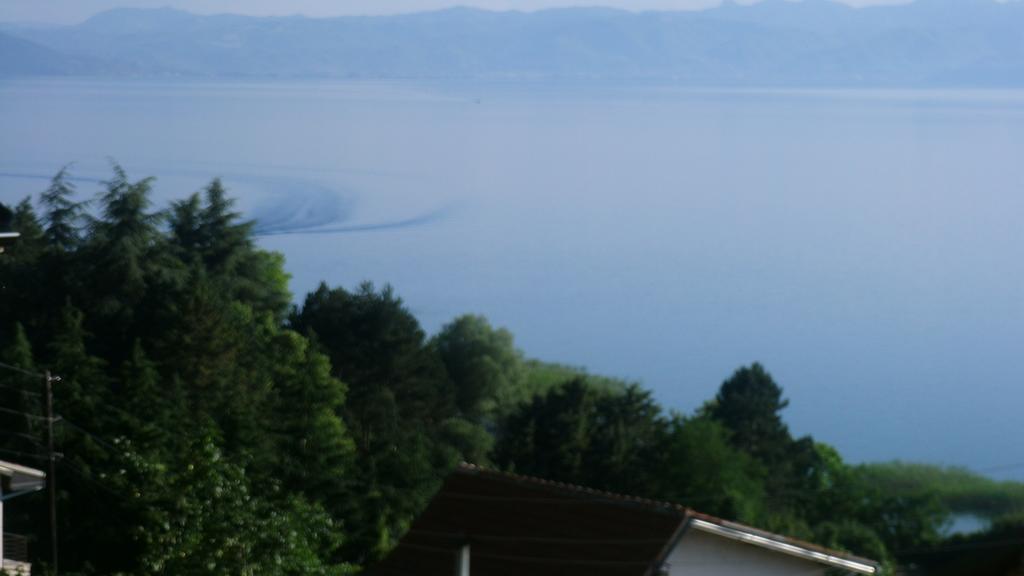 Villa Novak Ohrid Buitenkant foto